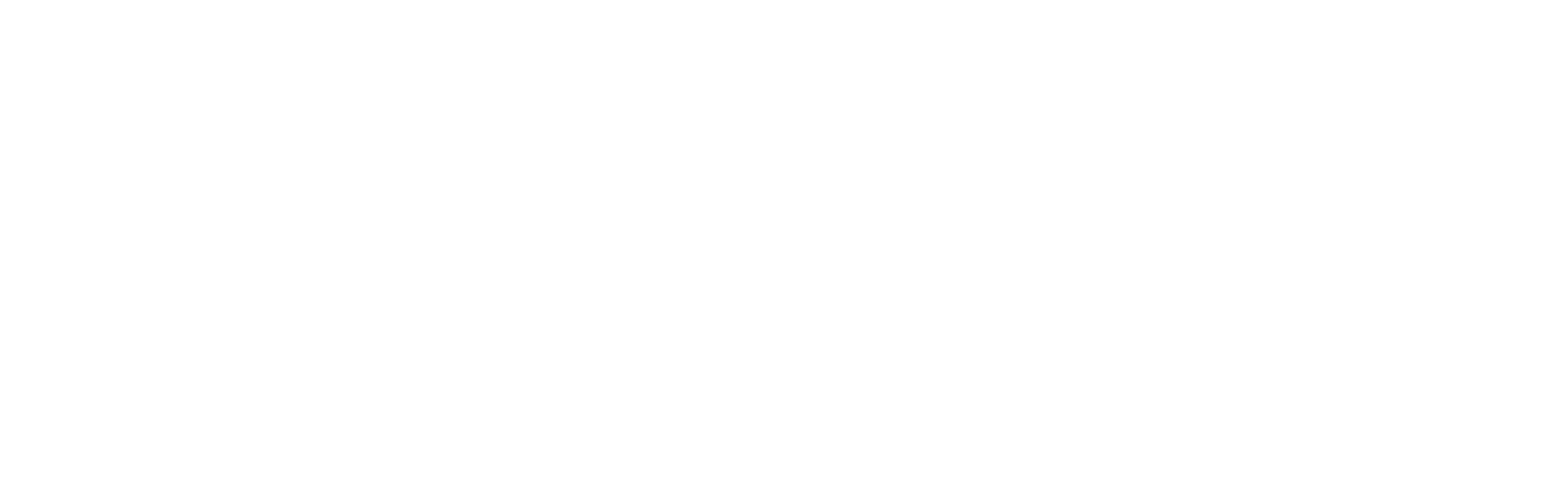 Dostt